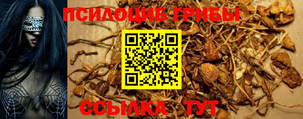 Вичуга  Псилоцибиновые грибы ЛСД  Вход с VPN  Галлюциногенные грибы ЛСД 