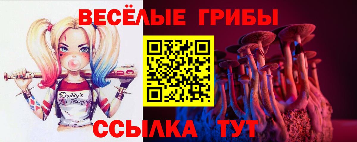 Галлюциногенные грибы прущие грибы Вичуга